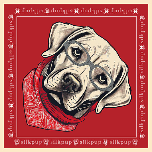 Dapper Dogo Silk Banadana - Marvin