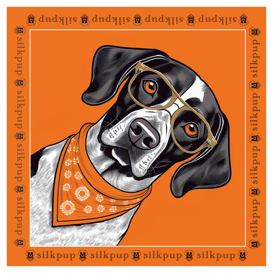 Dapper Dogo Silk Banadana - Chili